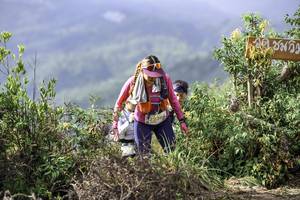 BIB: 
                            <button type="button" onclick="openModal(24765410)" class="btn btn-primary btn-sm float-right btn-popup" data-toggle="modal" data-target=".modal-high-quality">
                        <i class="fas fa-shopping-cart"></i> Add to Cart
                    </button>
                                            <button type="button" onclick="isThisMe(24765410, true)" class="btn btn-success btn-sm float-right btn-popup btn-isme hidden" data-toggle="tooltip" data-placement="bottom" title="นี่คือรูปของคุณใช่ไหม คลิกที่นี่เพื่อเอาเข้าอัลบั้ม">
                        <i class="fas fa-plus"></i> Add to album
                    </button>
                    <button type="button" onclick="isThisMe(24765410, false)" class="btn btn-warning btn-sm float-right btn-popup btn-isnotme hidden">
                        <i class="fas fa-ban"></i> Remove from album
                    </button>